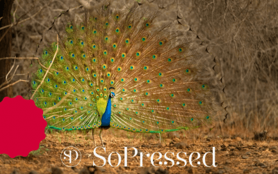 Wees jezelf! Anderen genoeg…